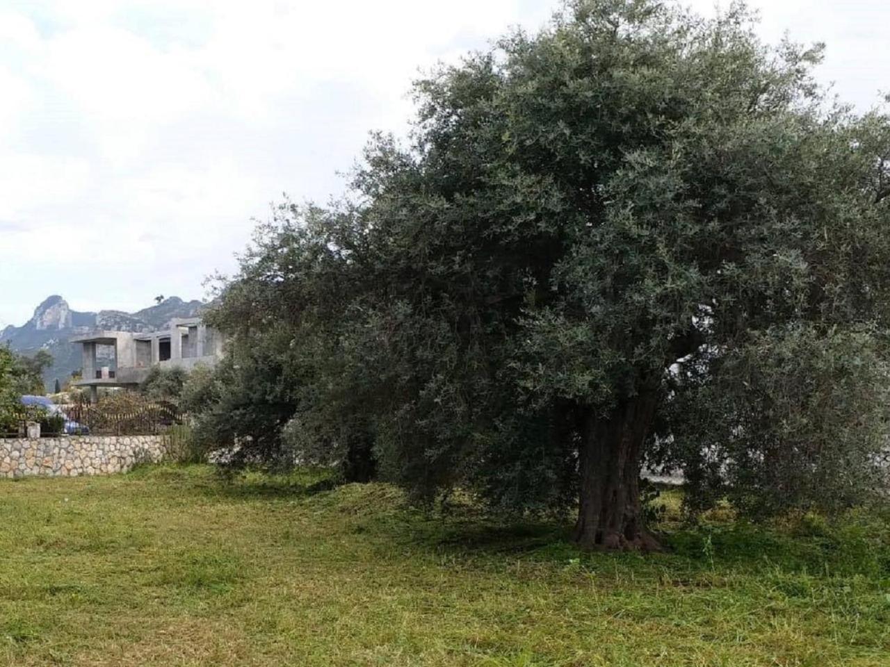 Suluca Homes Kyrenia (Northern Cyprus) Exterior foto